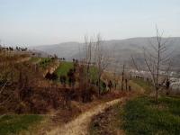 艺术家高勇利日记:国画作品《六川河春意》,尺寸:四尺整纸
138*69CM,【图5】