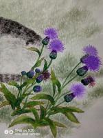 艺术家罗虹明日记:刺儿菜和我的衣服颜色很搭。【图2】