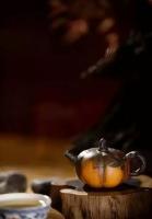 艺术家杨牧青日记:品茶画画,2010年6月10日奉送诸位一首新诗词《闲情》,时【图0】