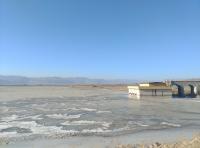 艺术家杨牧青日记:最肯定的感觉其实还不是感觉被爱,而是我们以真实面目被爱。真实【图2】