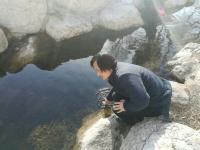 艺术家杨牧青日记:西江月·初冬写画忆前夜梦境有感
秋去冬来风寒,
不见【图0】