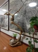 艺术家郑诚收藏:学会欣赏他人是一种本领,更是一种境界。是一种海纳百川的度量,【图1】