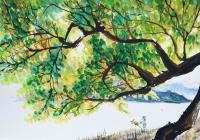 艺术家王征明收藏:水意画指在表现形式上像水一样无固定法则,根据创作条件随机变化【图1】