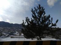 艺术家杨牧青日记:名著隐学,真相不被多数人了知,如果说《西游记》的九九八十一难【图0】