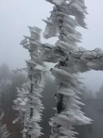 艺术家冯建德日记:今天带领两位师兄弟赴南岳衡山采风写生,不是远方的朋友难得来一【图1】