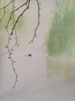 艺术家王征明日记:新作尺寸39x54,王征明作品【图0】