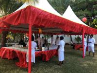 艺术家叶仲桥荣誉:2月10日,我获邀参加中华人民共和国驻坦桑尼亚联合共和国大使【图2】