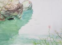 艺术家王征明日记:王征明新作尺寸54x39厘米【图0】