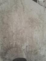 艺术家刘长亮日记:每天画一画,慢慢成长。【图1】