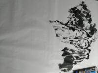 艺术家杨牧青日记:款识:颠倒图。由远景入手,逐步向近处画来,此古贤未曾起手过耶【图1】