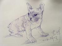 艺术家袁峰生活:继续为我的模特画素写……,袁峰【图1】