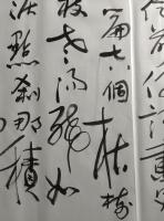 艺术家杨牧青日记:款识:戊戌春二月书余去岁初冬写画忆前夜梦境有感《西江月》词于【图2】