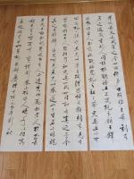 艺术家陈锡顺收藏:临启功先生题跋董其昌天马赋,真迹在励耘老人高弟刘乃和先生处。【图3】