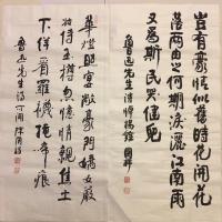 艺术家陈国祥日记:我的鲁迅诗选书法作品、共48首选其八!陈国祥书法作品【图0】