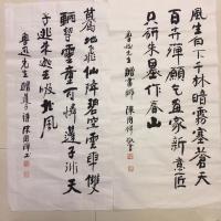 艺术家陈国祥日记:我的鲁迅诗选书法作品、共48首选其八!陈国祥书法作品【图2】