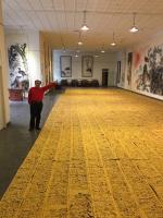 艺术家周鹏飞日记:国家主席按合法程序产生:3月17日
由我历时6天亱书写的党【图1】