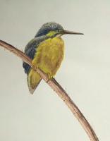 艺术家王征明日记:关于绘画动态的问题:画画仅仅处在简单的描摹(包括写生和默写)【图0】