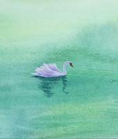 艺术家王征明日记:关于绘画动态的问题:画画仅仅处在简单的描摹(包括写生和默写)【图1】