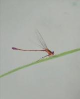 艺术家王征明日记:关于绘画动态的问题:画画仅仅处在简单的描摹(包括写生和默写)【图2】