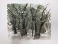 艺术家王涛日记:最近迷恋上小画画树,王涛【图0】