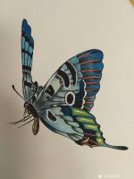 艺术家谷风日记:新作动物小品一组《蜻蜓》《蝴蝶》《牵牛》《知了》，与大家分享【图1】