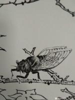艺术家谷风日记:新作动物小品一组《蜻蜓》《蝴蝶》《牵牛》《知了》，与大家分享【图3】