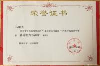 艺术家马曙光荣誉:马曙光聘仼和获奖证书,,,,【图1】