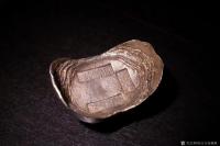 艺术家东方古玩城堡收藏:海外回流,纯银银锭“十两”两枚、元宝型,保真纯银,支持检测,【图1】