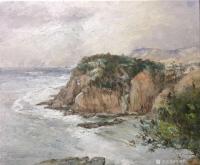 艺术家宋德发日记:油画写生新作《海岸》,尺寸58*68cm
宋德发【图0】