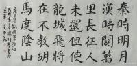 艺术家杨牧青日记:楷书四幅四尺整张一一大凡今时从事中国书法、国画的人，学习楷书【图0】