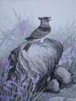 艺术家王嵩淼日记:《晨曲》马兰花,马兰花,风吹雨打都不怕,勤劳的人儿在说话,请【图1】