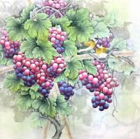 艺术家刘慧敏日记:工笔画葡萄系列作品,紫气东来,硕果累累,欢迎订制【图4】