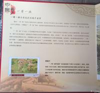 艺术家杨凌生活:我的作品被中国邮政印制在邮票和邮通卡上，全国发行，这是对我的【图1】
