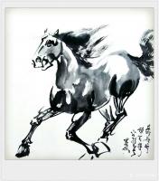 艺术家袁春宝日记:国画动物画《马》，分享三幅
人生可以不卓越，但是不可以没有【图0】