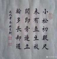 艺术家张月新日记:研习了:三五年多体大字榜书,为中国古今书坛增添了一些罕见顶级【图0】