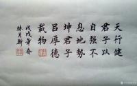艺术家张月新日记:研习了：三五年多体大字榜书，为中国古今书坛增添了一些罕见顶级【图5】