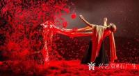 艺术家石广生生活:一不留神，中了杨丽萍布下的“十面埋伏”。音乐处理相当成功，舞【图2】