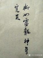 艺术家徐家康日记:留得残荷听雨声………余平日所写尽胡杨,松树之硬汉,偶尔来个弱【图3】