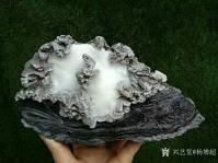 艺术家杨增超日记:奇石瓷画新作《高山流水》,以石创作,石景相融!可定制。【图4】