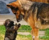 艺术家王征明日记:照片可以在瞬间反映人性的一面,绘画给人提供表现思想的工具,艺【图0】