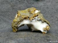 艺术家杨增超收藏:白灵玉石的魅力!特喜欢。黄壳白灵玉石,已绝迹的石种,难得一见【图2】