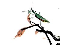 艺术家李牧日记:高山仰止,景行行止!事事如意,富贵吉祥!【图4】