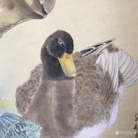 艺术家汪林日记:工笔花鸟画《秋》,尺寸50x50cm,戊戍年新作【图0】