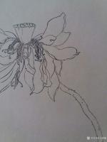 艺术家马晓薇日记:莲花静物写生画两幅,凋零的美,请欣赏【图1】