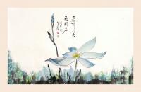 艺术家秦发艺日记:《尽可美,无关名》
尽管自己去美,并不是为了名。为的是:我【图0】