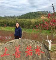 艺术家叶仲桥日记:每天一画《金秋》规格38*28,国画写意花鸟画,请欣赏【图2】