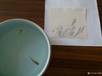 艺术家马晓薇日记:儿子帮我抓来两只虾虎鱼,它的眼睛 咕噜噜地转个不停,样子还真【图0】