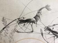 艺术家罗树辉日记:扇面《自得其乐》偶尔画虾,也自得其乐。【图2】