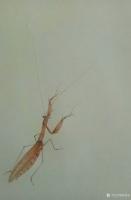 艺术家张清永日记:螳螂捕蝉,黄雀在后。试试画小动物,扇面《加官图》,请指正【图1】