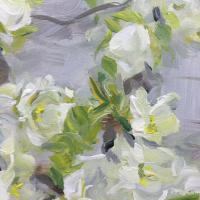 艺术家周海波日记:现代油画风《苹果花开》,请欣赏,欢迎订制【图4】